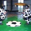 Fussball Sumo