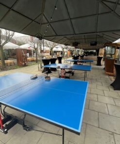 Klassische Tischtennisplatte