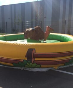 Bullriding Kamel