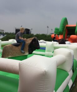 Gleichzeitiges Bullen reiten