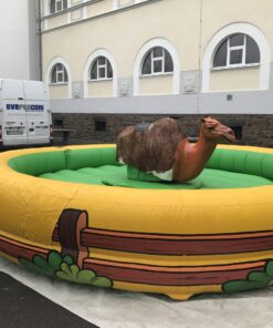 Rodeo Anlage Kamel