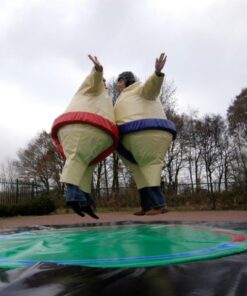 Sumo Wrestling